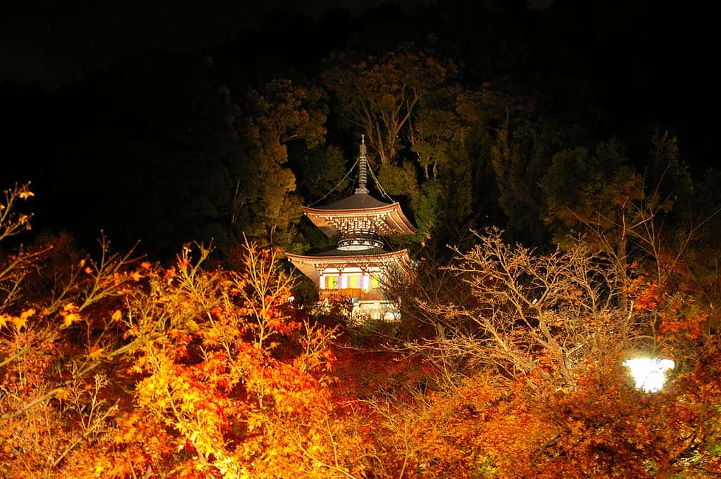 1024px-Eikando_Zenrinji-temple_Tahoto