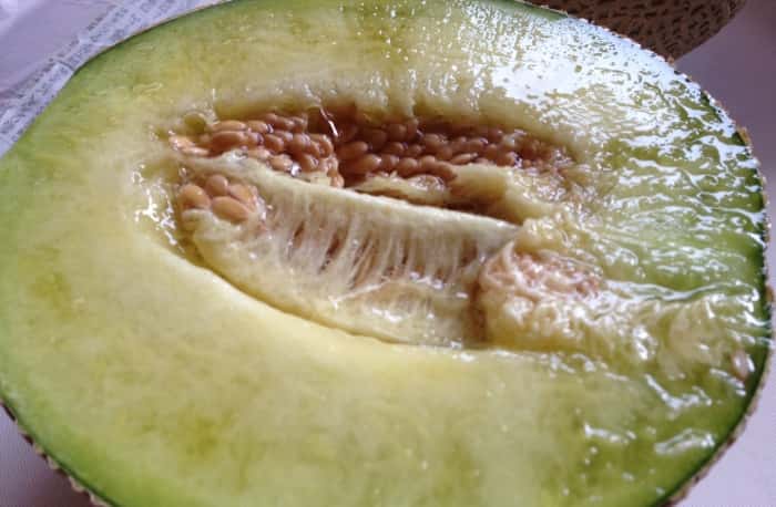 cutted melon