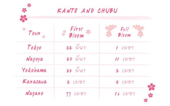 Sakura Time Table version6