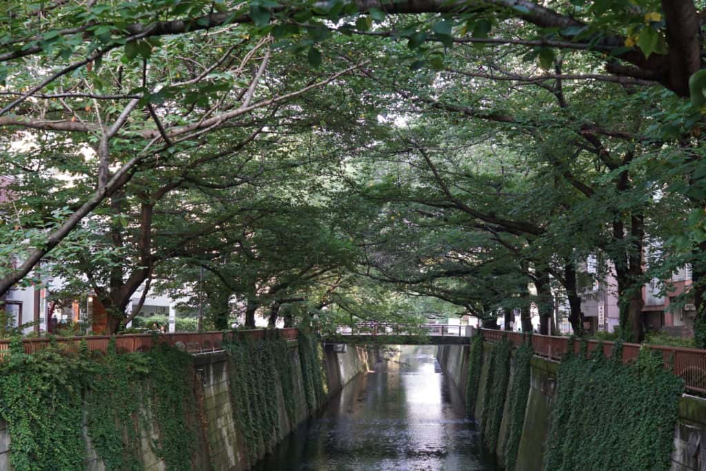 นากาเมกุโระ (Naka-Meguro) ย่านสุดชิคริมแม่น้ำเมกุโระ โตเกียว (Tokyo)