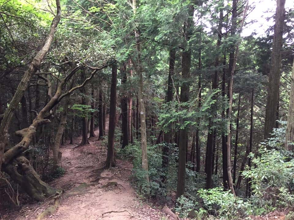 ภูเขาอาบุระยะมะ (Aburayama) ที่ท่องเที่ยวทางธรรมชาติ ฟุกุโอกะ Fukuoka