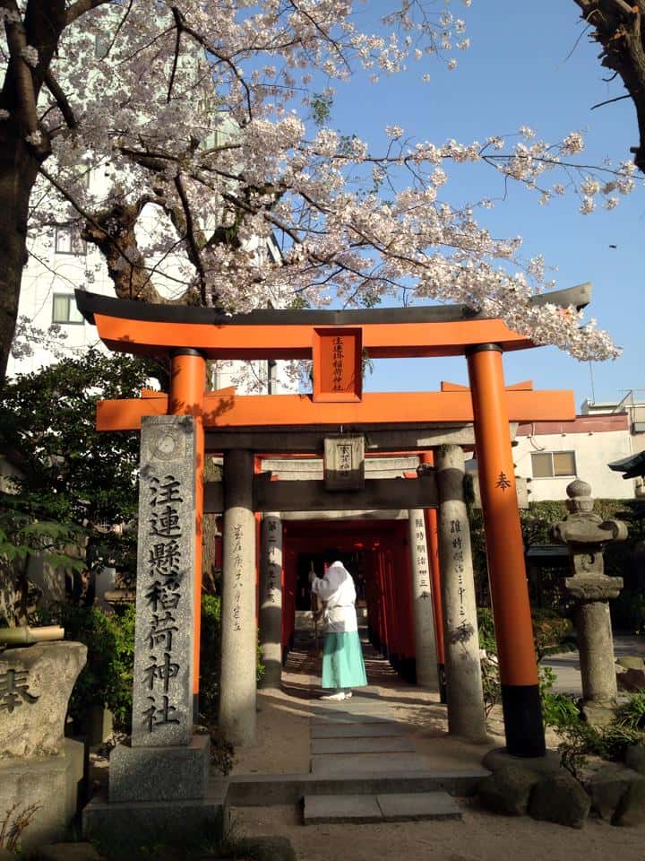 ศาลเจ้าคูชิดะ ฟุกุโอกะ (Kushida Shrine) ศาลเจ้าห้ามพลาดในฟุกุโอกะ