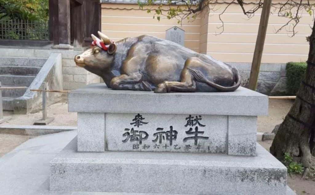 ลูบจมูกวัว เทพเจ้าแห่งการเรียน ขอพรเรื่องการเรียน ที่ศาลเจ้าดาไซฟุ Dazaifu Tenmangu Shrine ที่เที่ยวฟุกุโอกะ