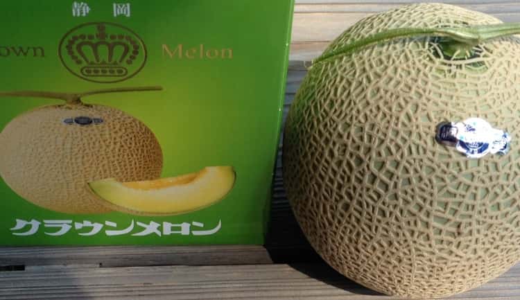 crown melon