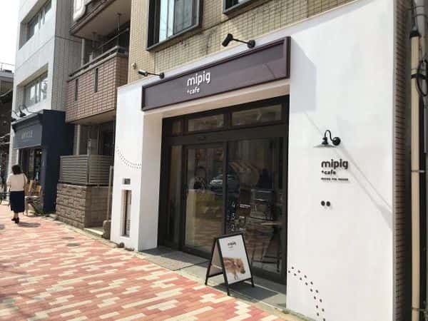 mipig-cafe-japan