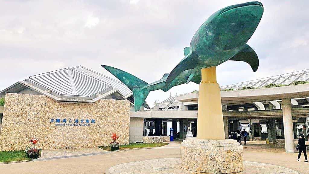 พิพิธภัณฑ์สัตว์น้ำชูราอุมิ (Okinawa Churaumi Aquarium)