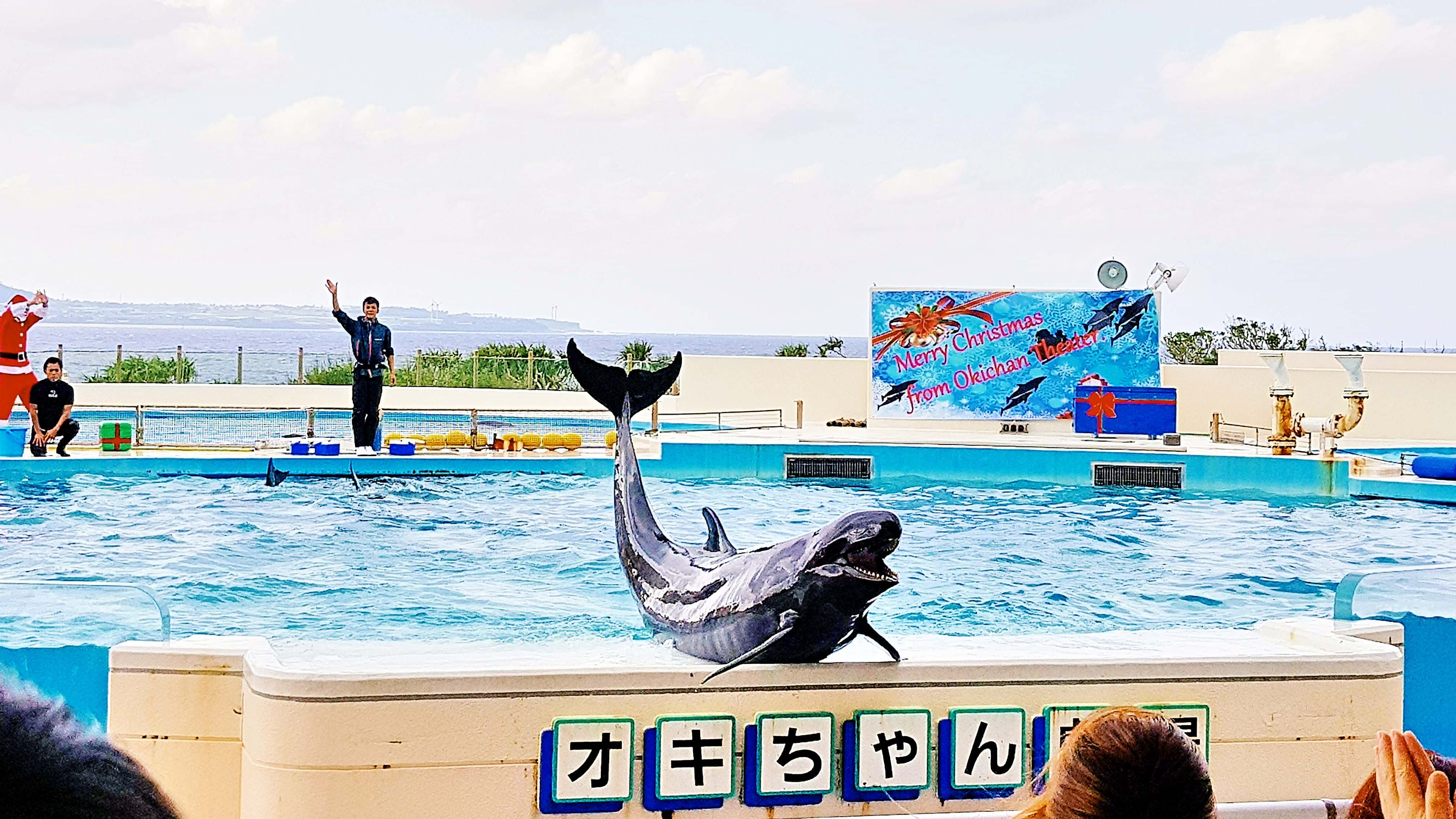 พิพิธภัณฑ์สัตว์น้ำชูราอุมิ (Okinawa Churaumi Aquarium)