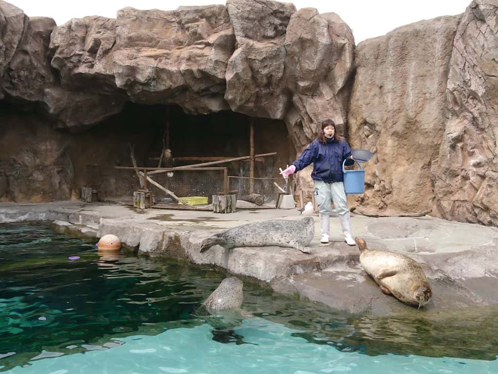 สวนสัตว์อะซาฮิยาม่า (Asahiyama Zoo) เพนกวิน