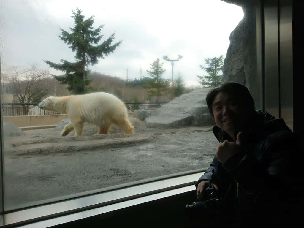 สวนสัตว์อะซาฮิยาม่า (Asahiyama Zoo) ส่องสัตว์ รีวิวพาลูกเที่ยวญี่ปุ่น