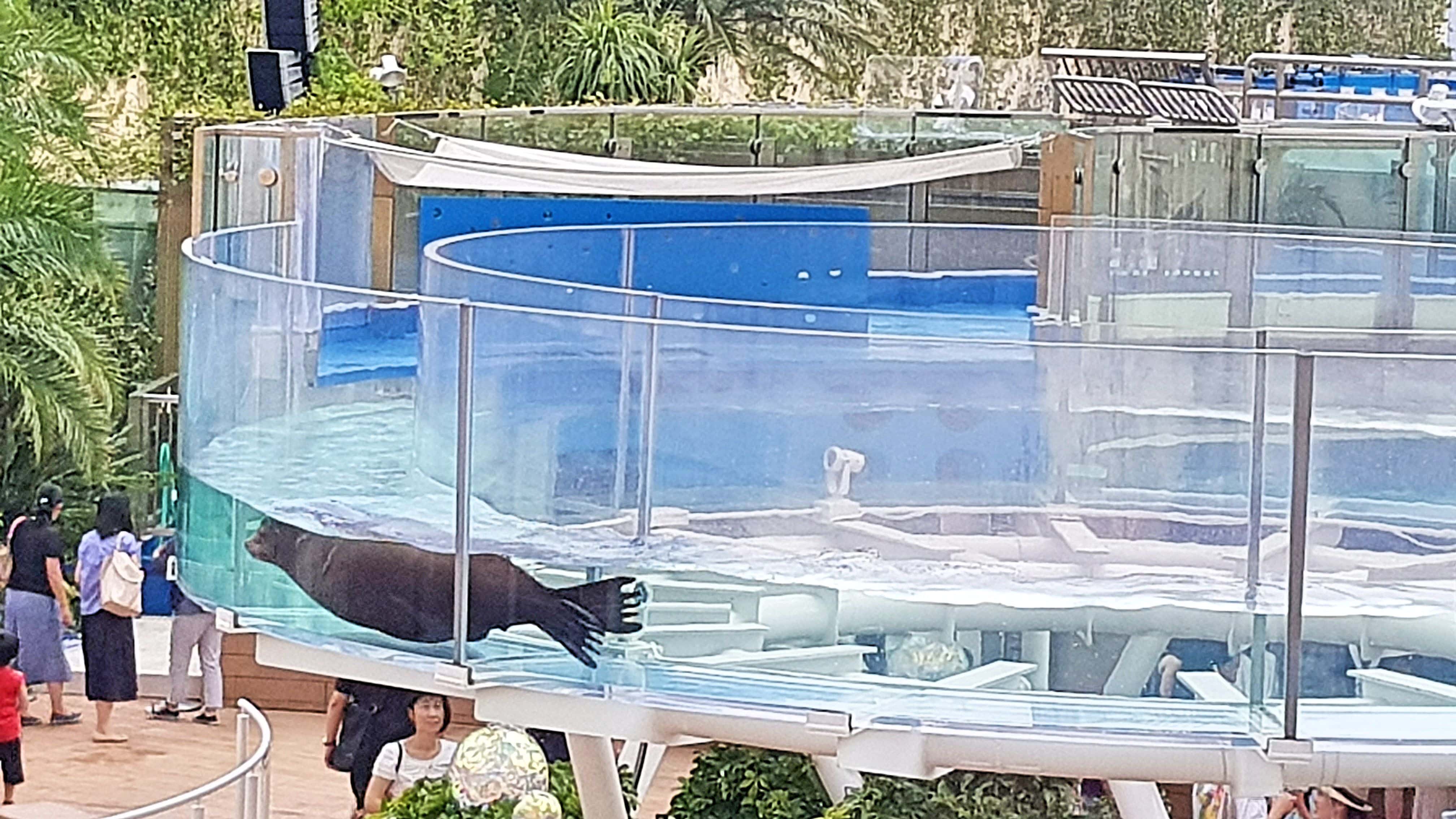 รีวิวพิพิธภัณฑ์สัตว์น้ำซันไชน์(Sunshine Aquarium) 