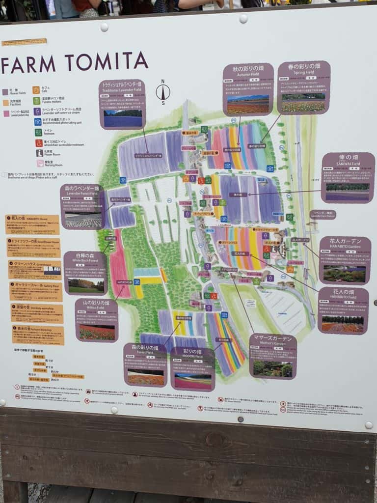 ฟาร์มโทมิตะ (Tomita Farm) เป็นฟาร์มลาเวนเดอร์ชื่อดังสุดในฮอกไกโด(Hokkaido)