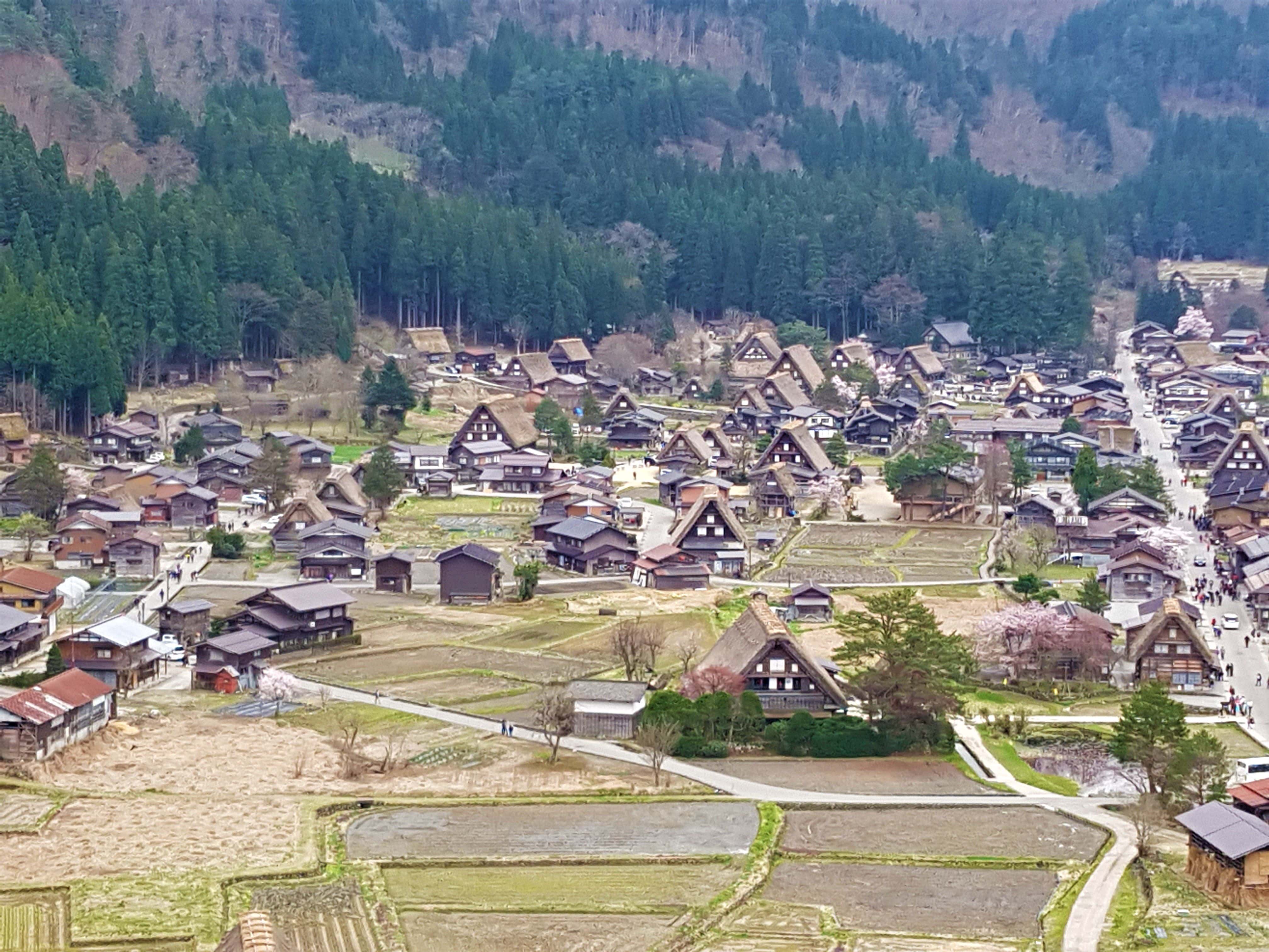 มรดกโลกญี่ปุ่น(UNESCO) เที่ยวหมู่บ้านชิราคาวาโกะ Shirakawa ช่วงหน้าร้อนที่นาโกย่า