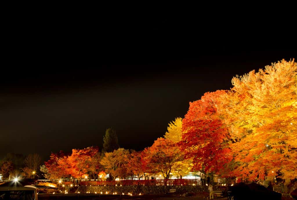  เทศกาลใบไม้เปลี่ยนสีที่คาวากุจิโกะ (Fujikawaguchiko Autumn Leaves Festival)