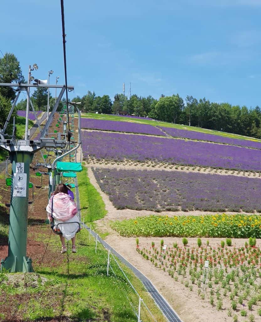 นั่งกระเช้าชมทุ่งลาเวนเดอร์ที่ Choei Lavender farm เมืองนะกะฟุราโนะ (Nakafurano)