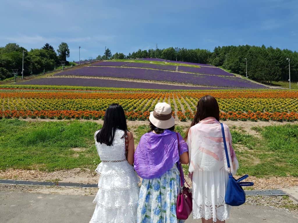 ทุ่งลาเวนเดอร์ที่ Choei Lavender farm เมืองนะกะฟุราโนะ (Nakafurano)
