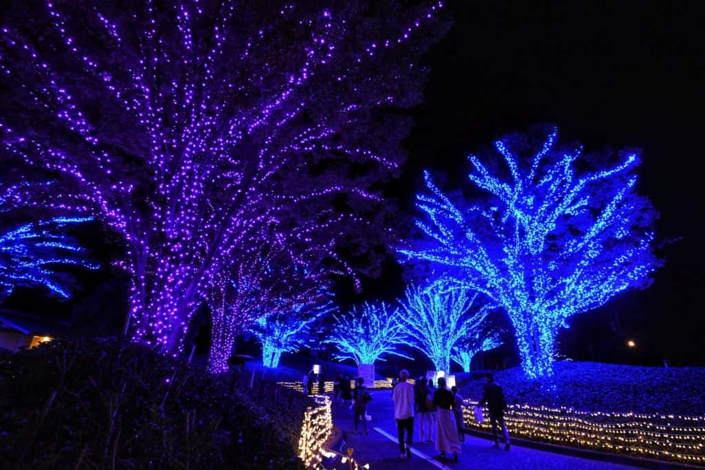 Nabana No Sato winter illumination 2019 ที่เมืองนาโกย่า (Nagoya)