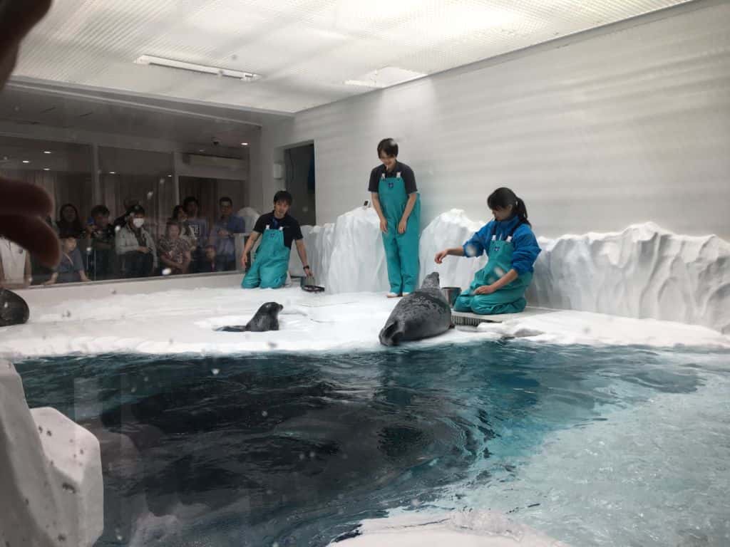  พิพิธภัณฑ์สัตว์น้ำ KAIYAKAN Aquarium โอซาก้า