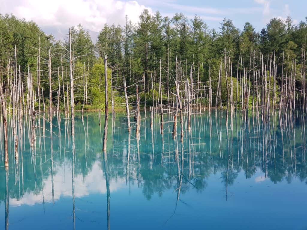บ่อน้ำสีฟ้า Blue Pond ที่ฮอกไกโด
