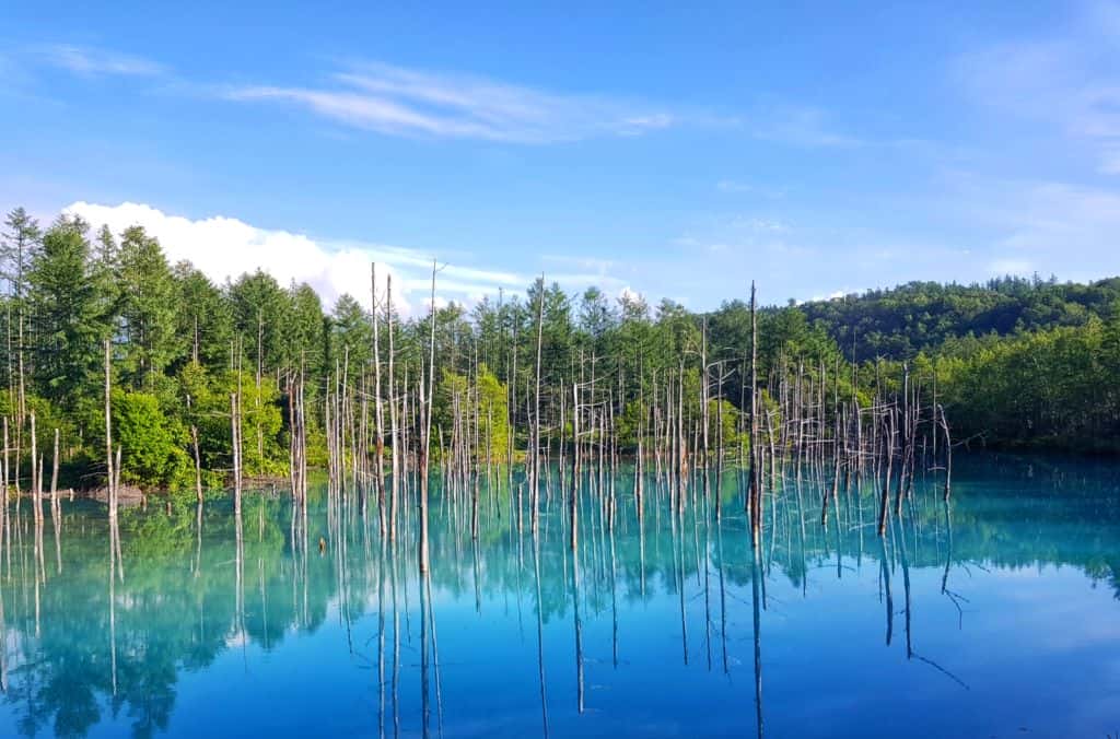 บ่อน้ำสีฟ้า Blue Pond ที่ฮอกไกโด