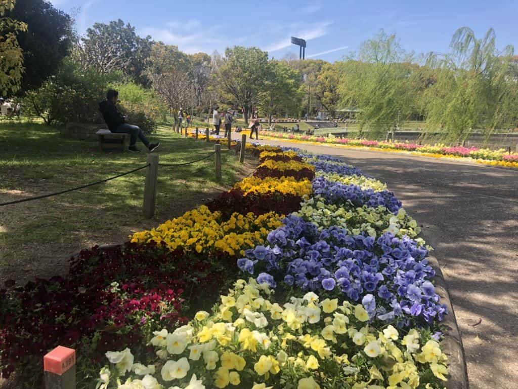 สวนดอกไม้ Nagai botanical garden ที่osaka