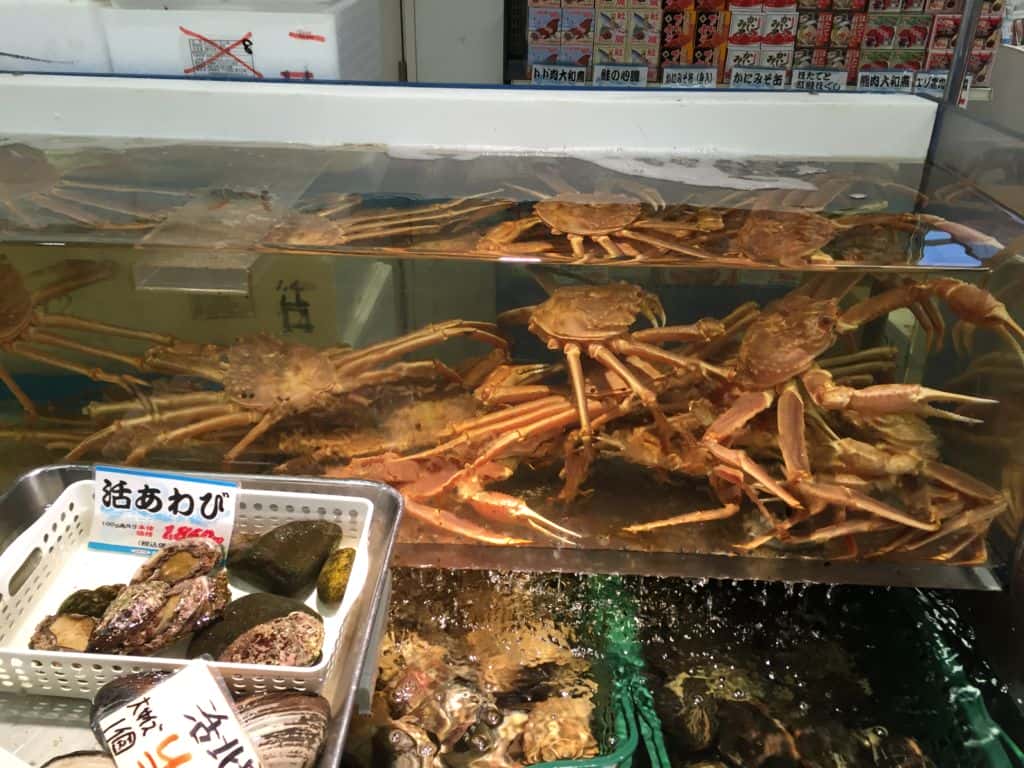 ตลาดปลาโจไก (Jyogai shijyo)