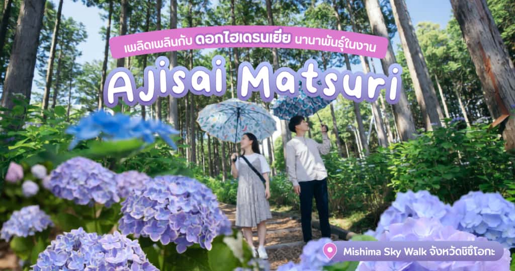 เพลิดเพลินกับดอกไฮเดรนเยียนานาพันธุ์ในงาน “Ajisai Matsuri” ที่ Mishima Sky Walk