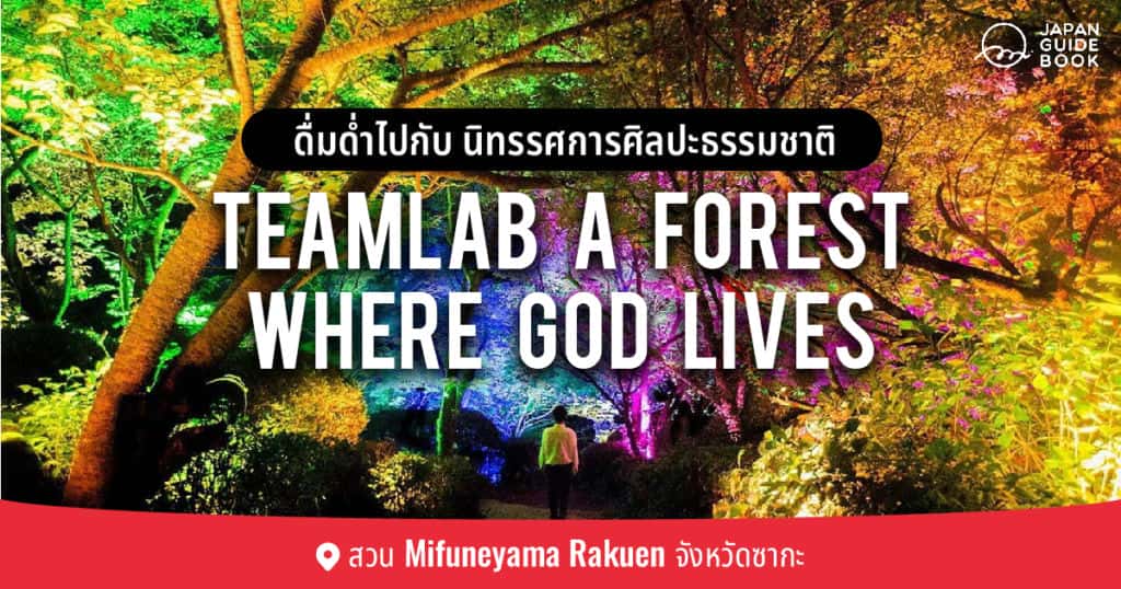 ดื่มด่ำไปกับนิทรรศการศิลปะธรรมชาติ teamLab A Forest Where God Lives ที่สวน Mifuneyama Rakuen จังหวัดซากะ